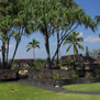コロニー I アット シー マウンテン イン パハラ ハワイの写真